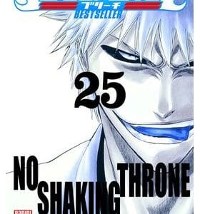Panini Manga, Bleach Nº25